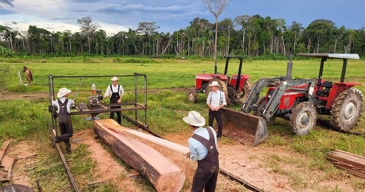 Kolonisten zerlegen Stämme in der Kolonie Providencia, Peru. © Kennert Giesbrecht